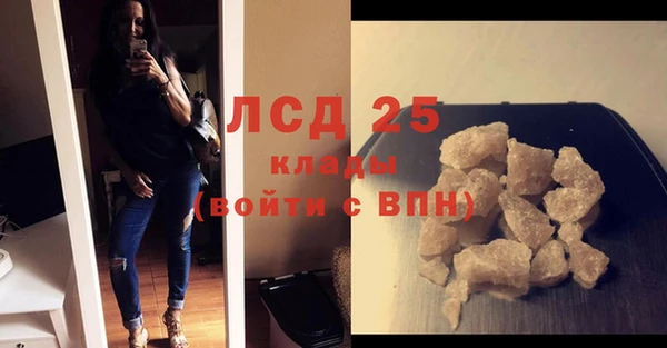 индика Аркадак