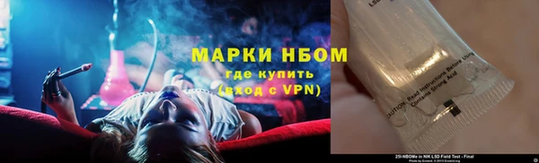 индика Аркадак