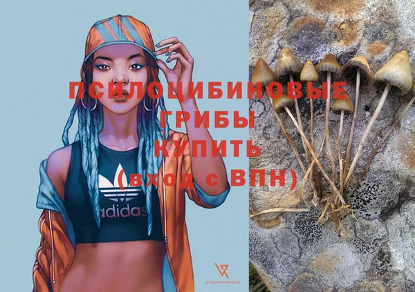 jwh Армянск