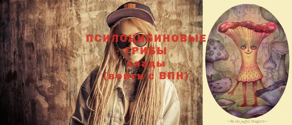 mdpv Пересвет