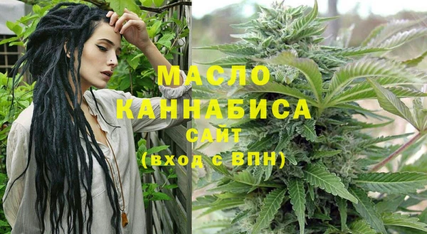 индика Аркадак