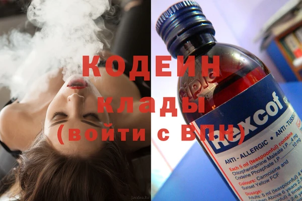 индика Аркадак