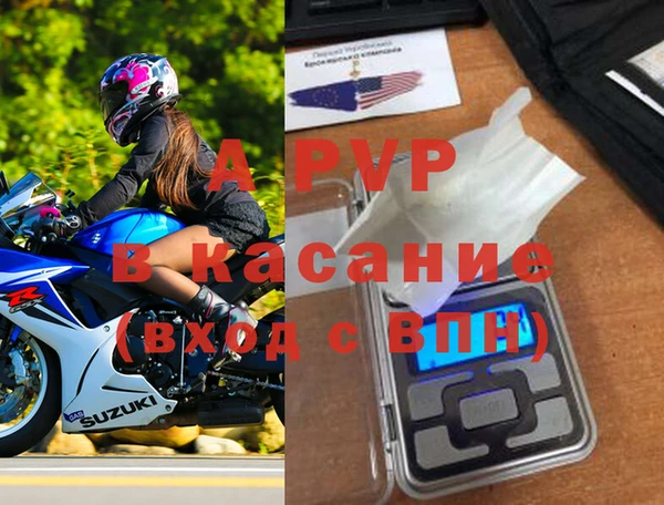 индика Аркадак