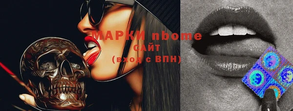 индика Аркадак